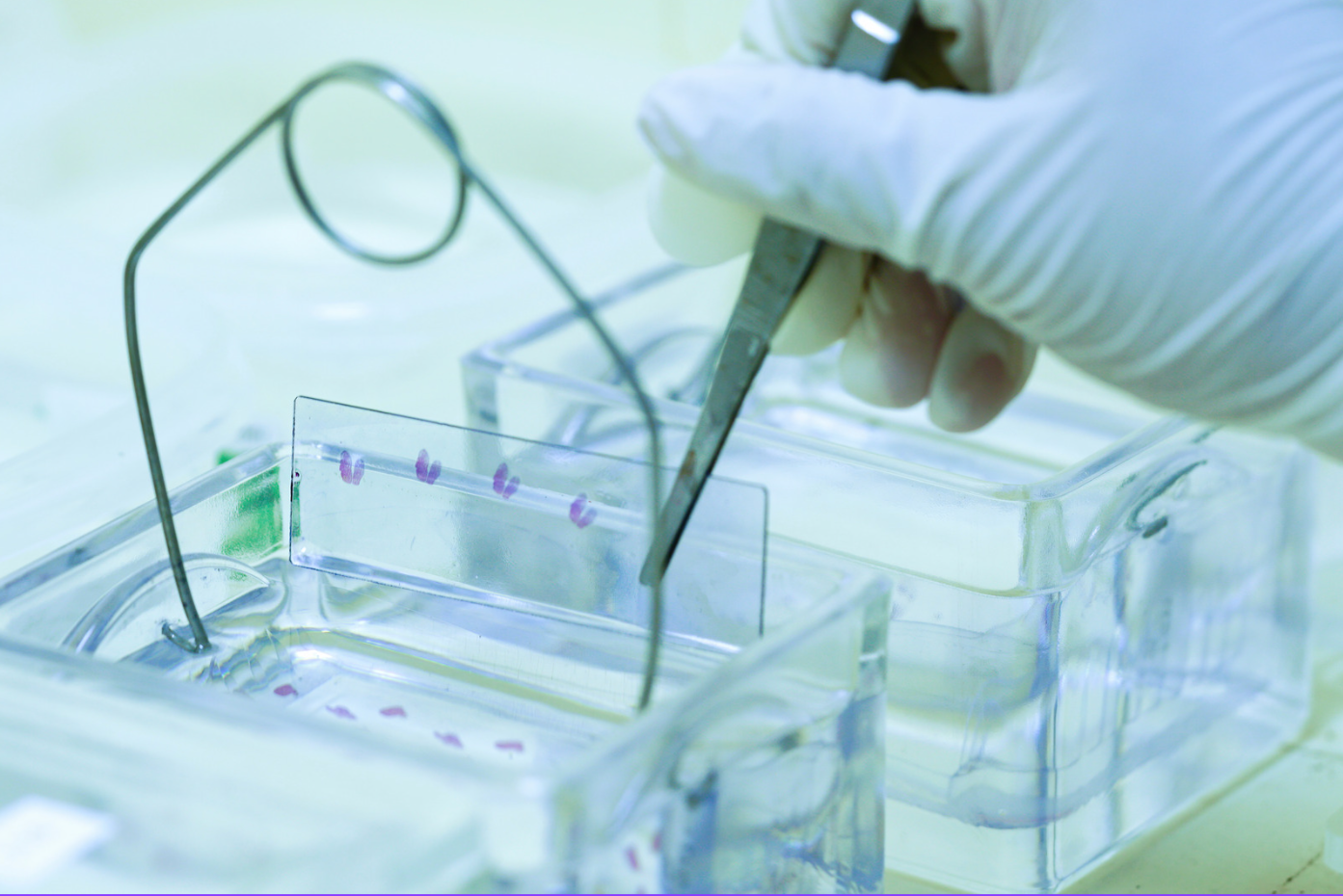 Laboratory testing process supporting medical device evidence review